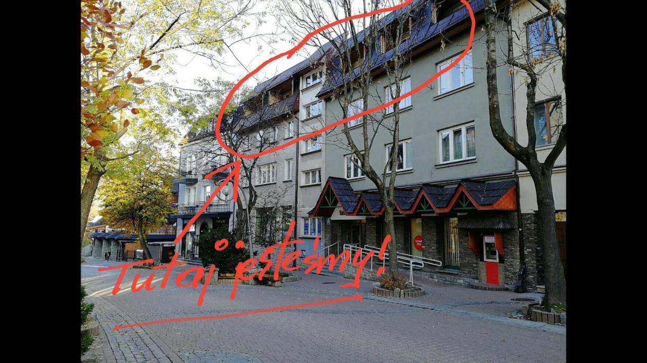 Pokoje Goscinne I Apartamenty Krupowki 19 Zakopane Esterno foto